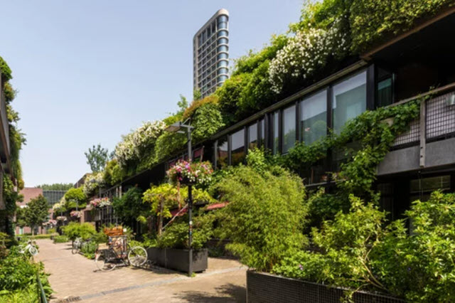jardinera prfv