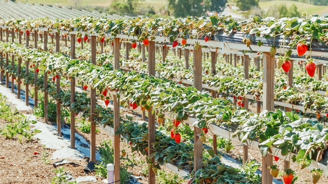 piezas poliester en sector alimentacion