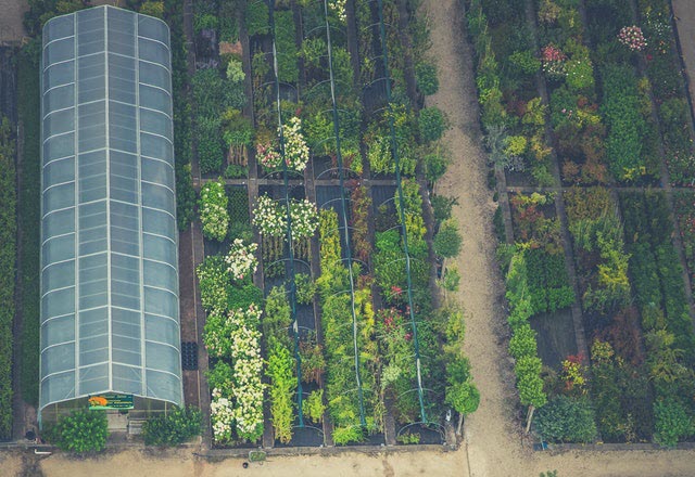 poliester proyecto agricola