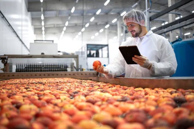 transporte alimentos